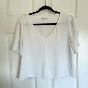 Aritzia Babaton Top with Sleeves